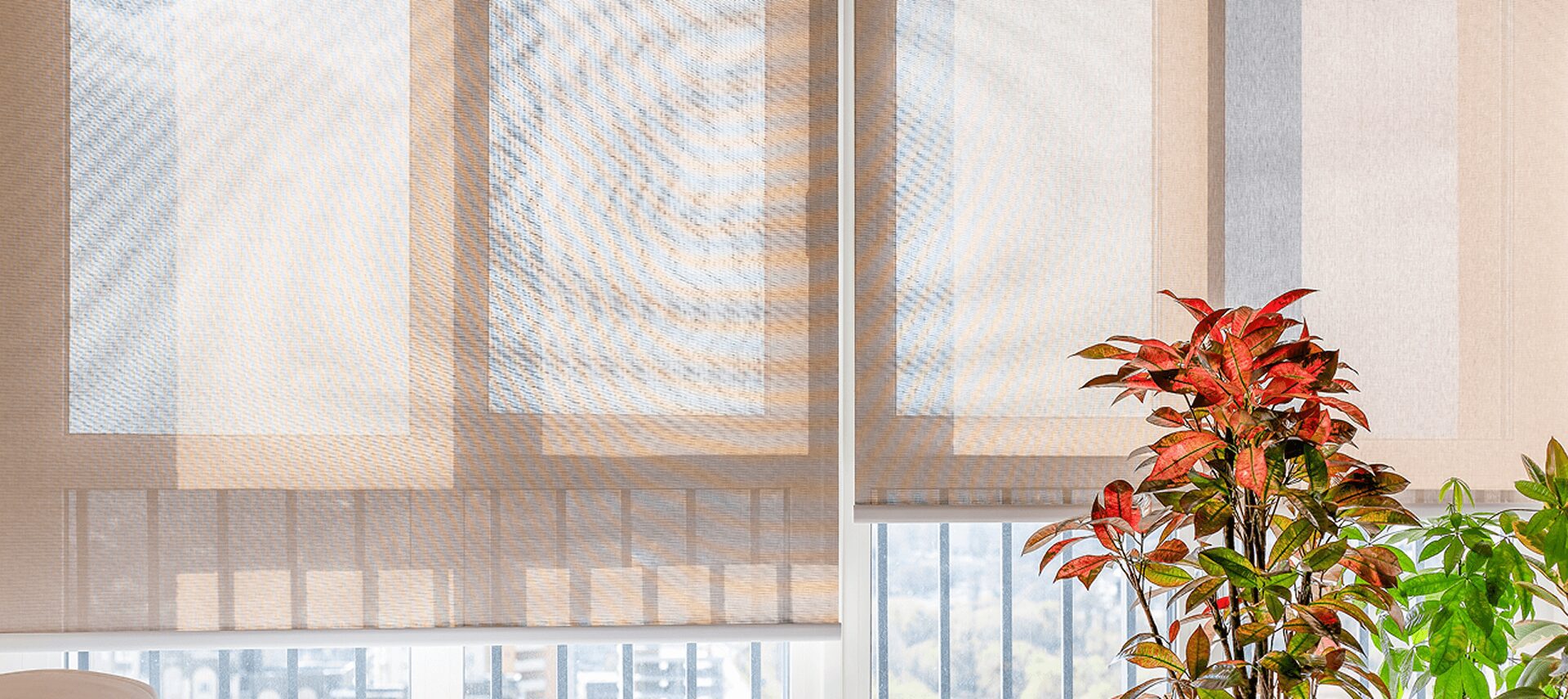 Window blinds with potted plants nearby.
